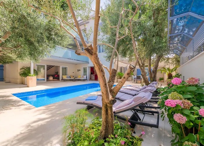 Rex Exclusive Apartment Split