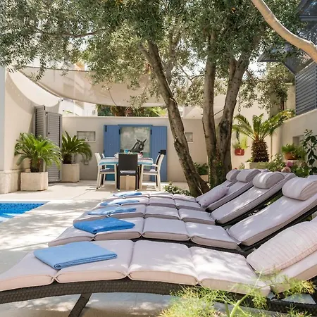 Rex Exclusive * ספליט